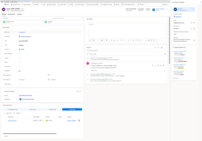 Dynamics 365 Customer Service case form with clearly defined sections